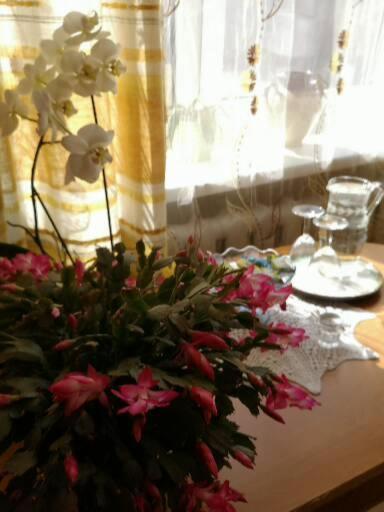 Dvinumajas Vintage B&B バルビ エクステリア 写真